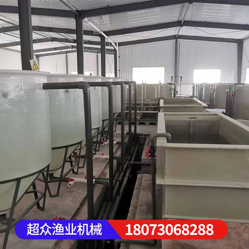 PP鱼池