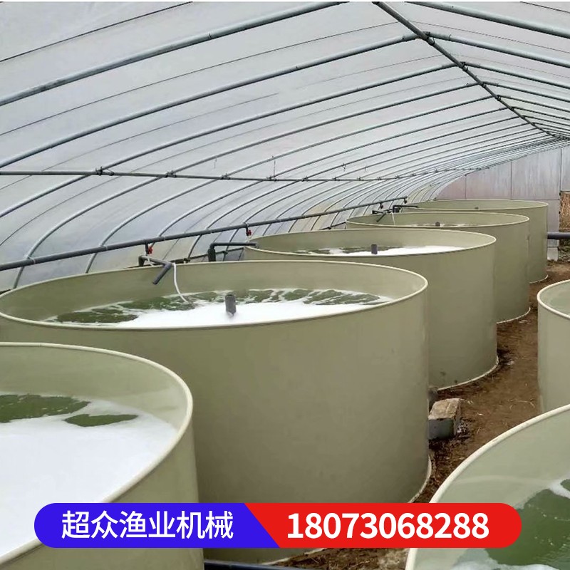 PP鱼池