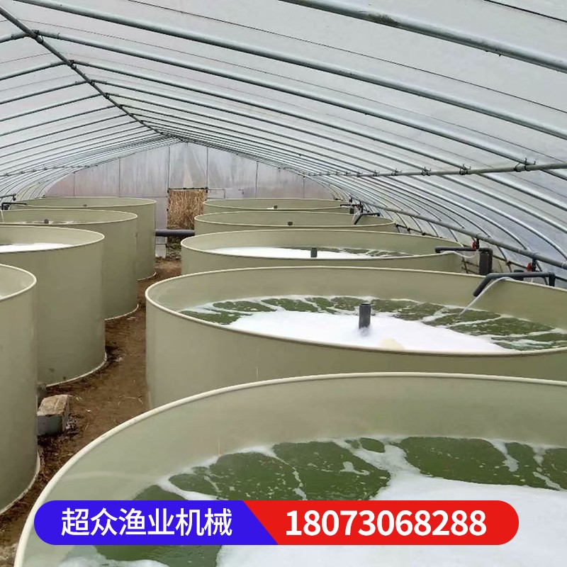 PP鱼池