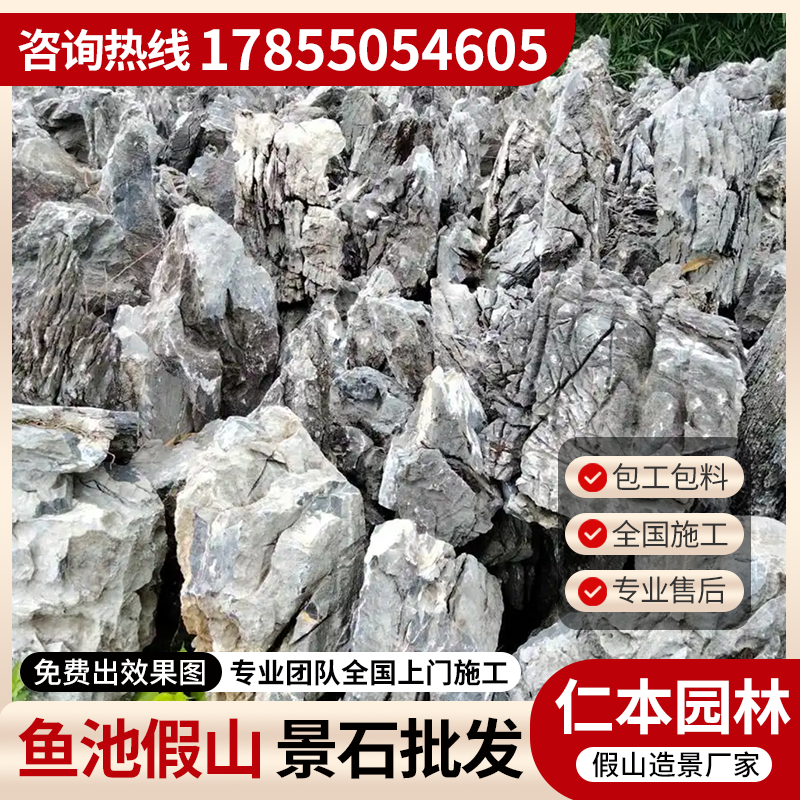 兰州龟纹石