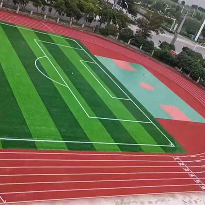 标准足球场免填充草