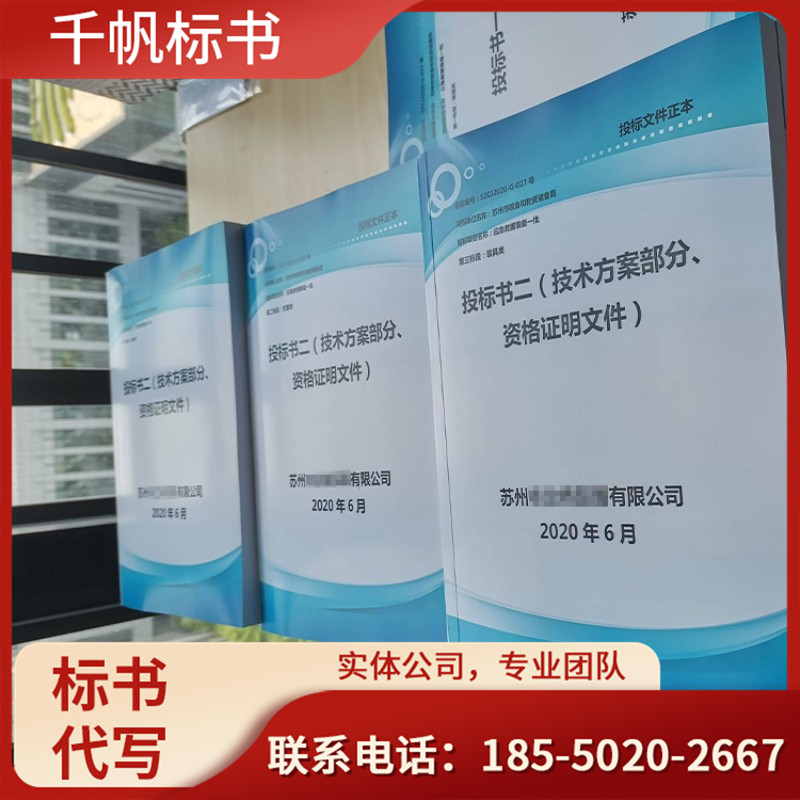 项目可行性报告