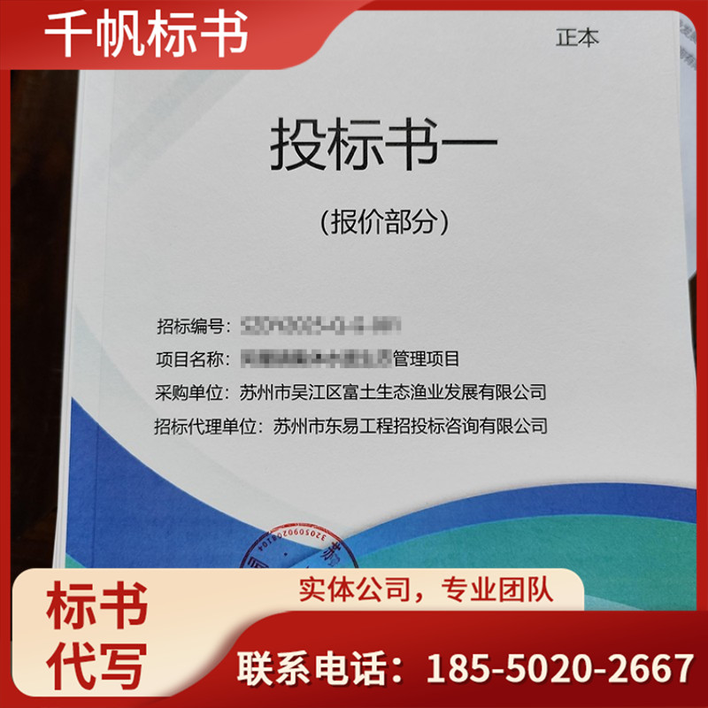 项目建议书
