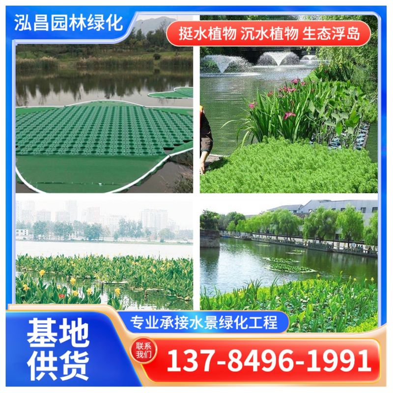 河道治理