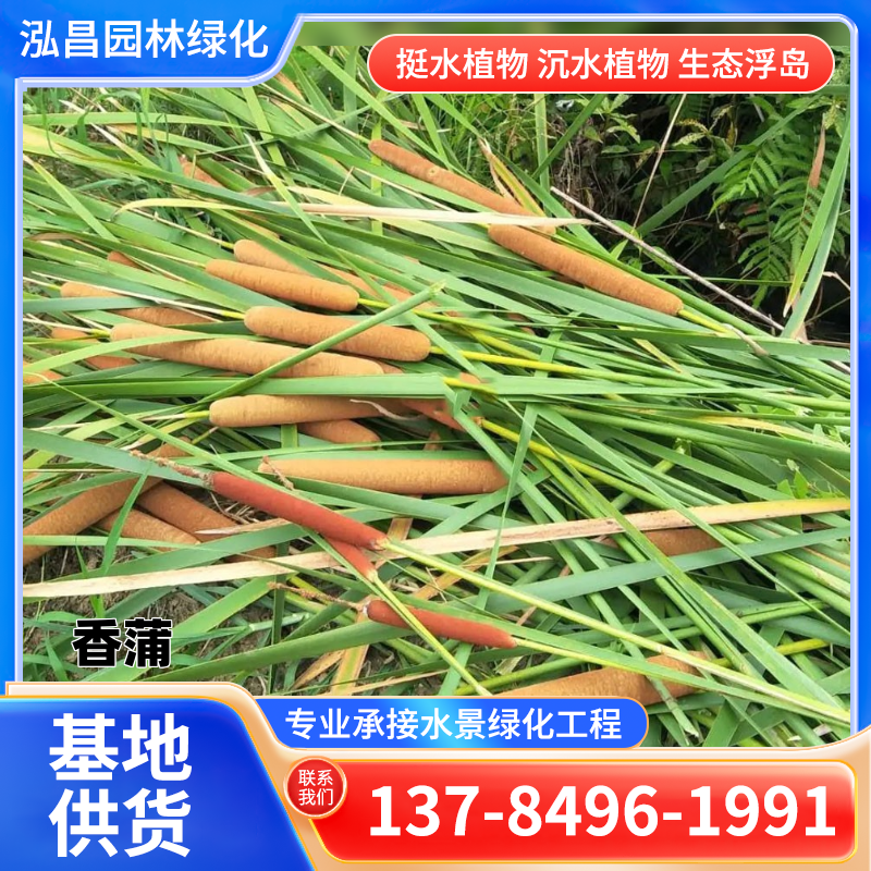 河道治理