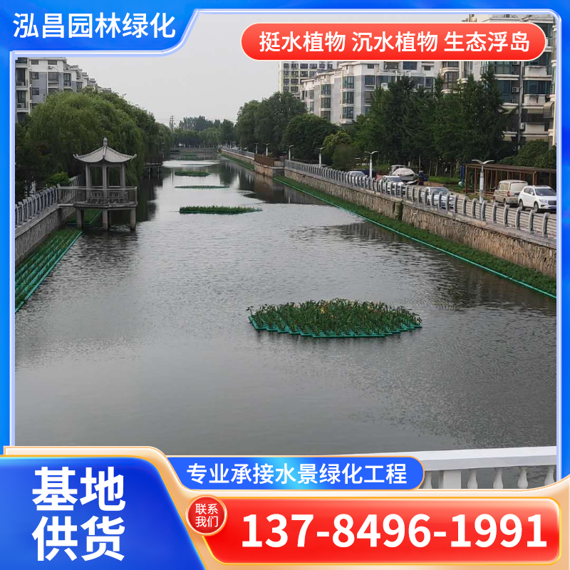 浮岛