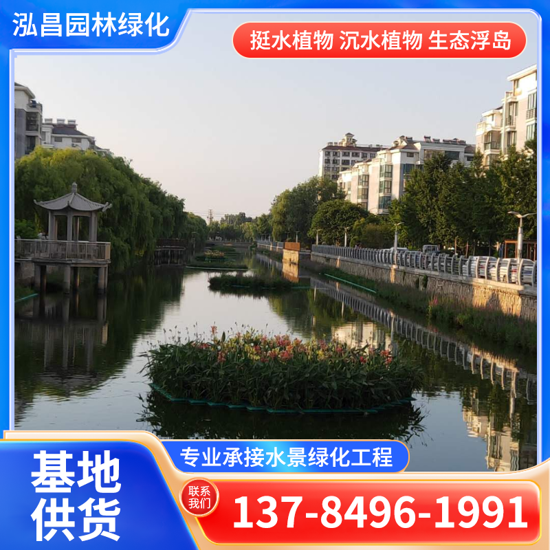 浮岛