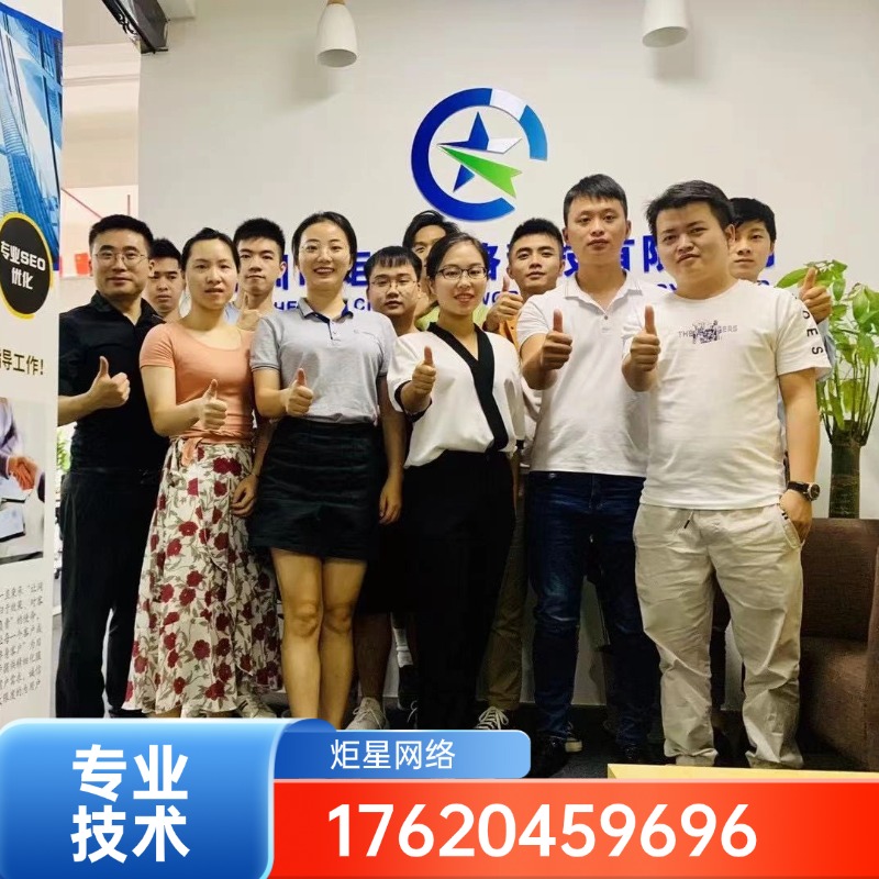 GEO优化方案1