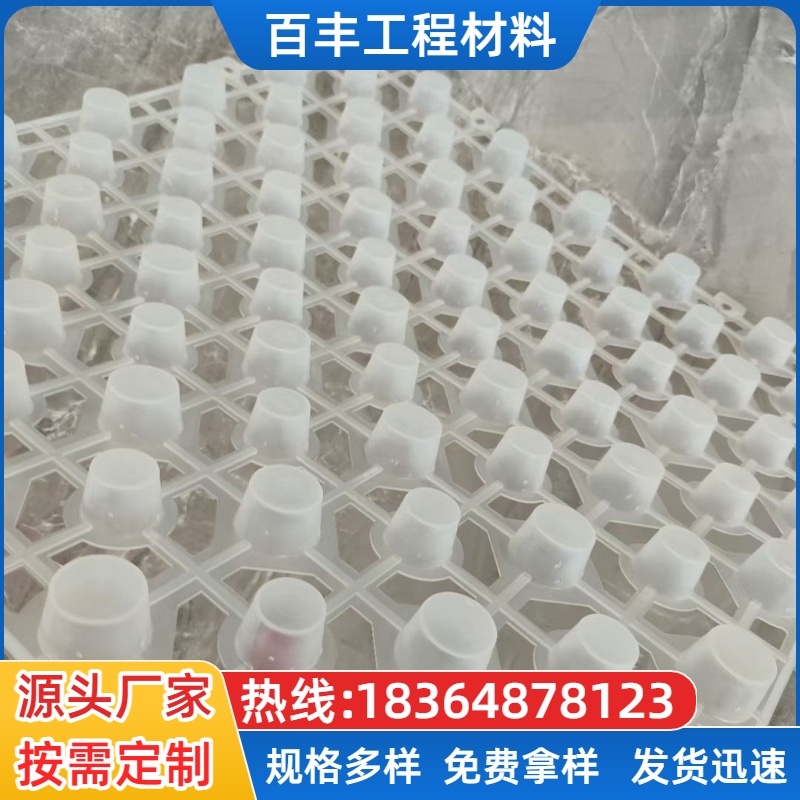 排蓄水板