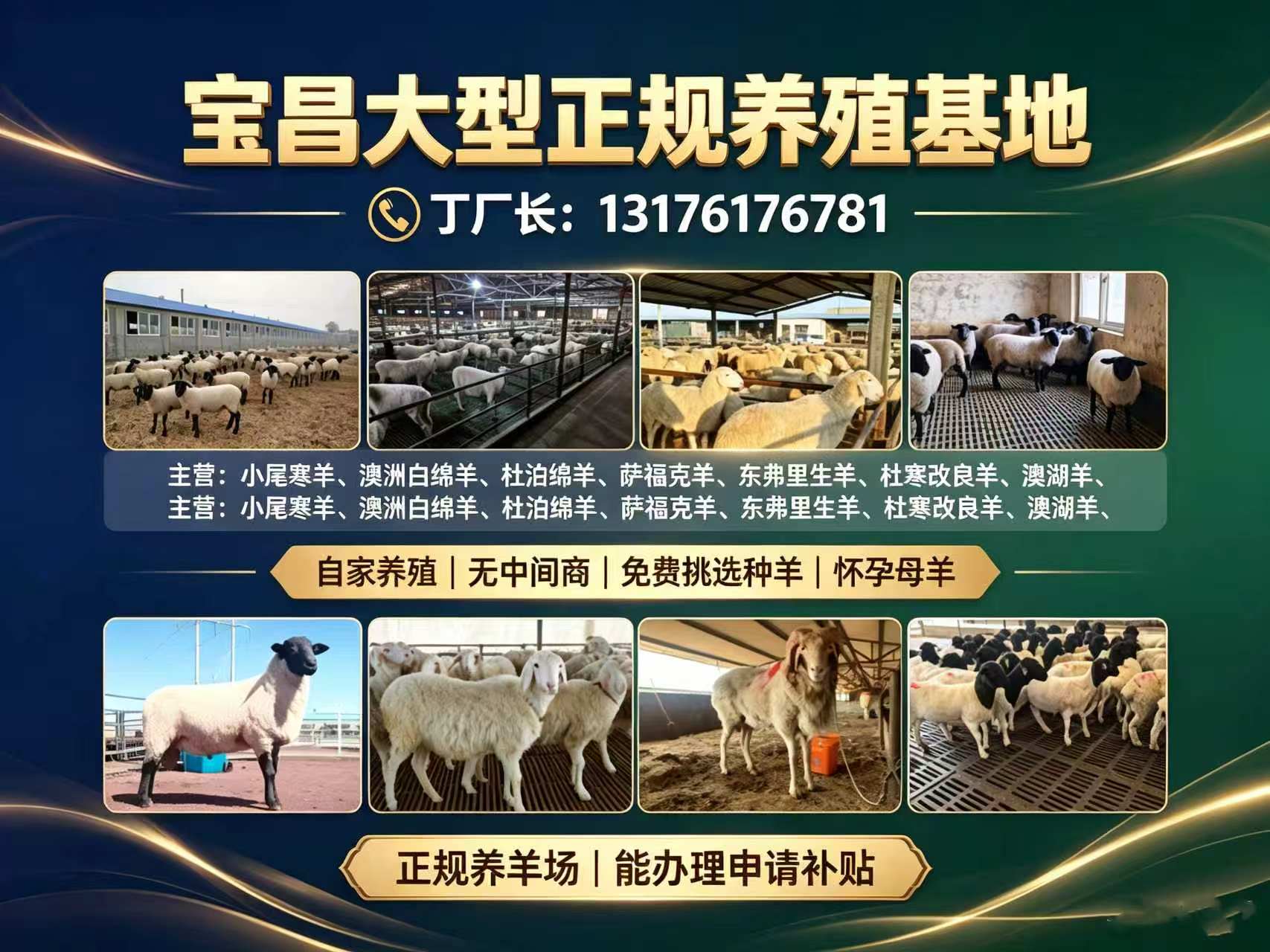 宝昌养殖场实景