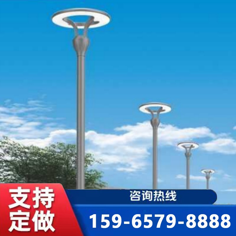 聊城庭院灯