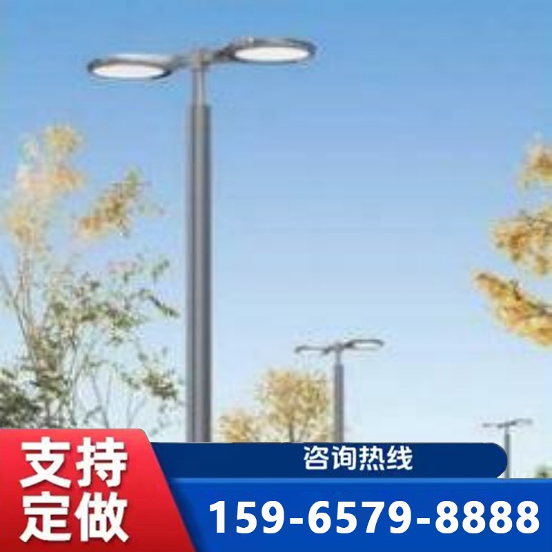 聊城庭院灯