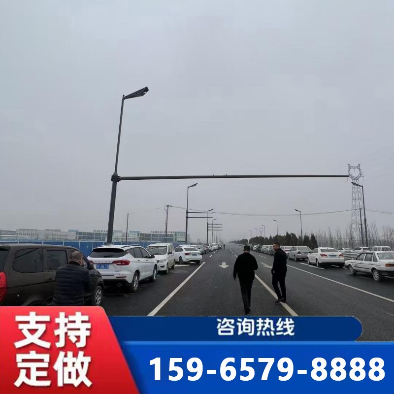 聊城综合杆