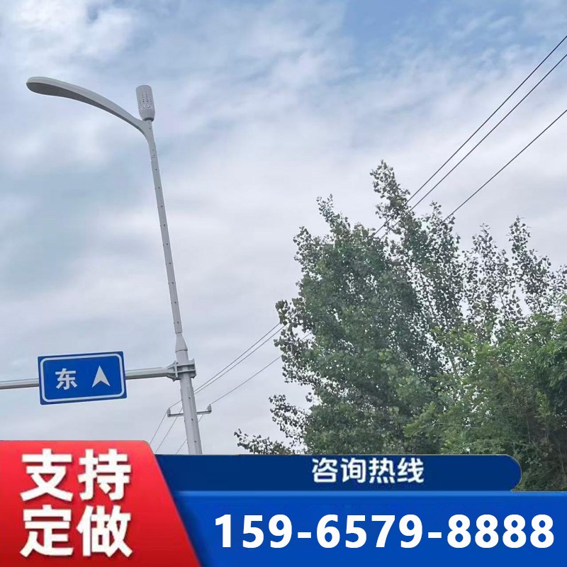 聊城综合杆