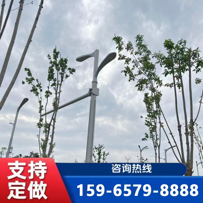 聊城综合杆