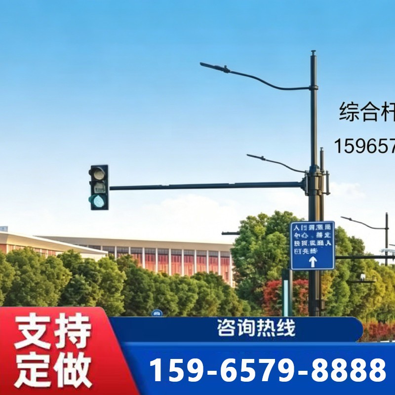 聊城综合杆