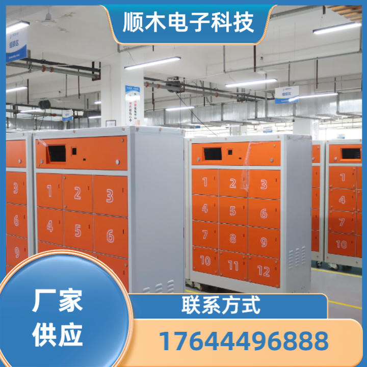 家用代步车锂电池