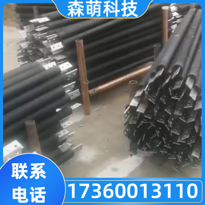 接地极