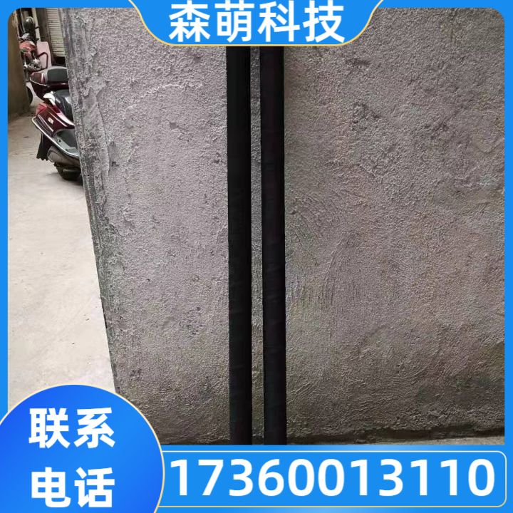 接地极