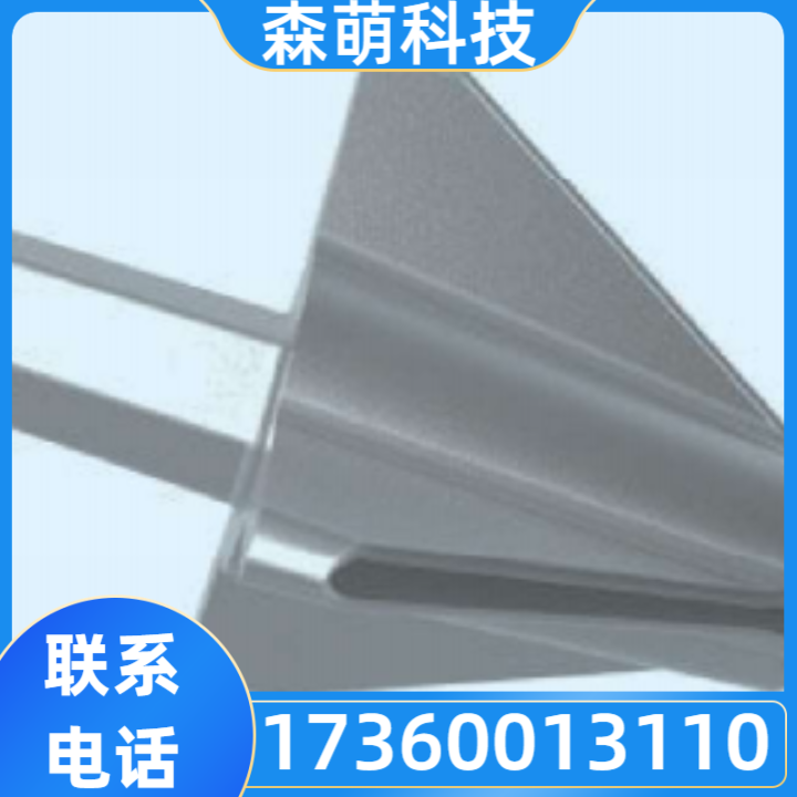 接地极
