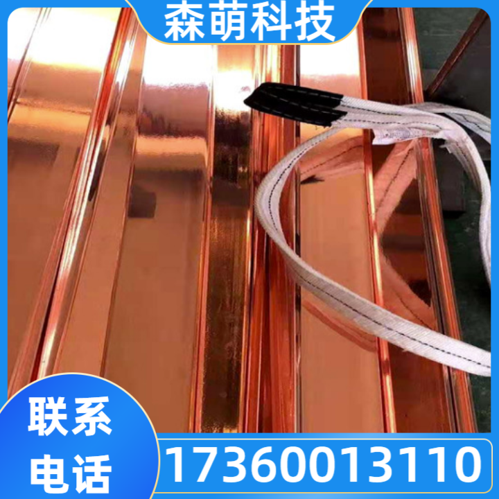 接地极