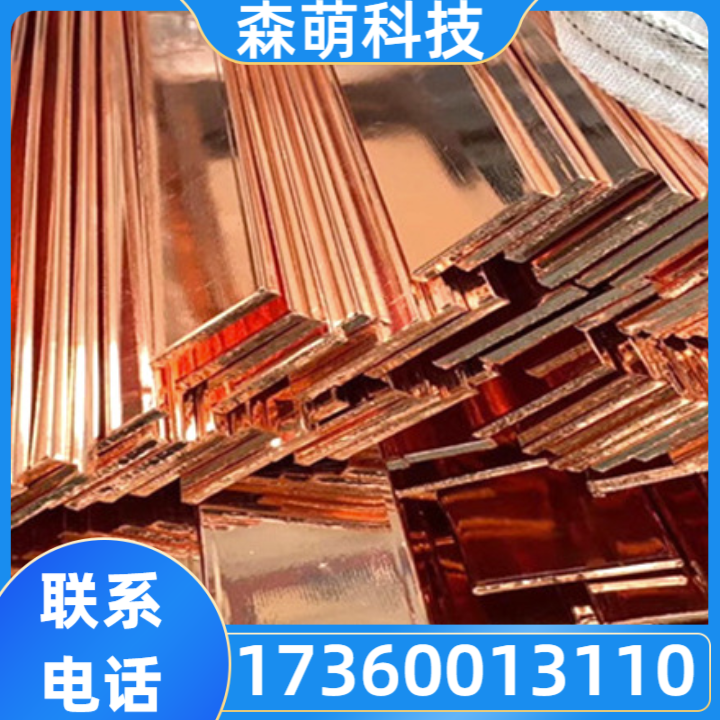 接地极