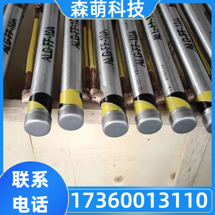 离子接地极