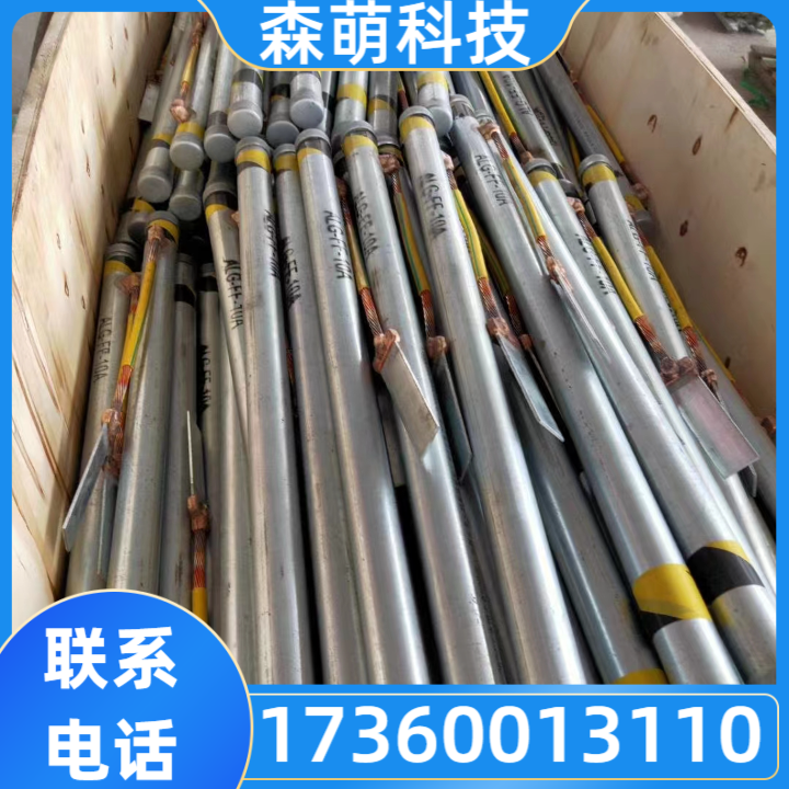 离子接地极