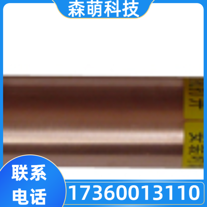 离子接地极