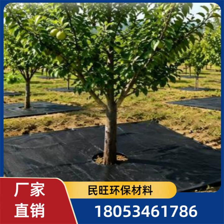 防草布-款式6