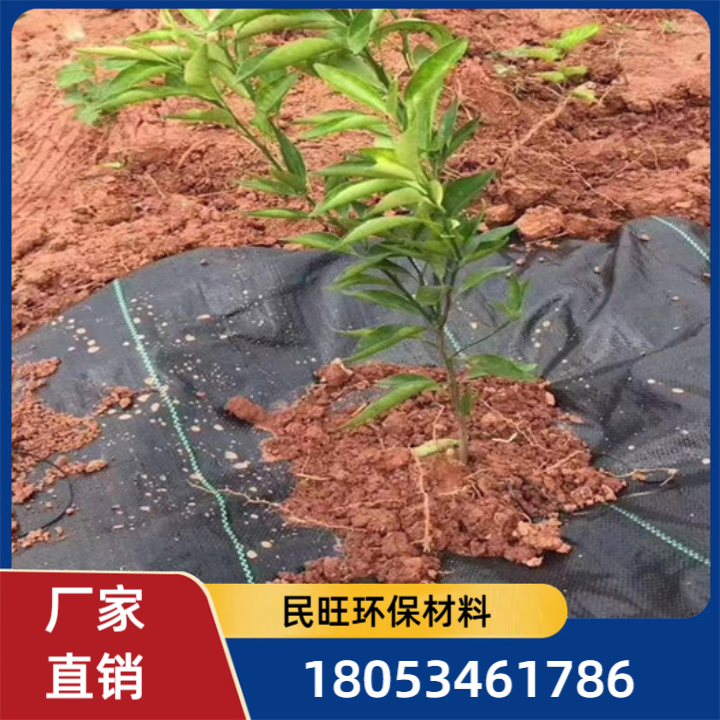 防草布-款式4