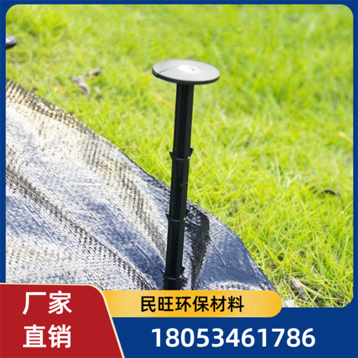 地钉-款式8