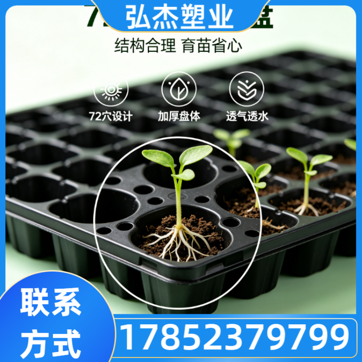 育苗穴盘