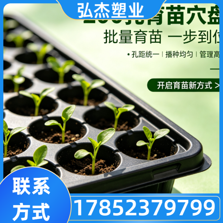 育苗穴盘