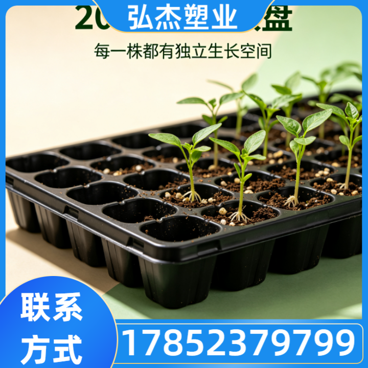 育苗穴盘