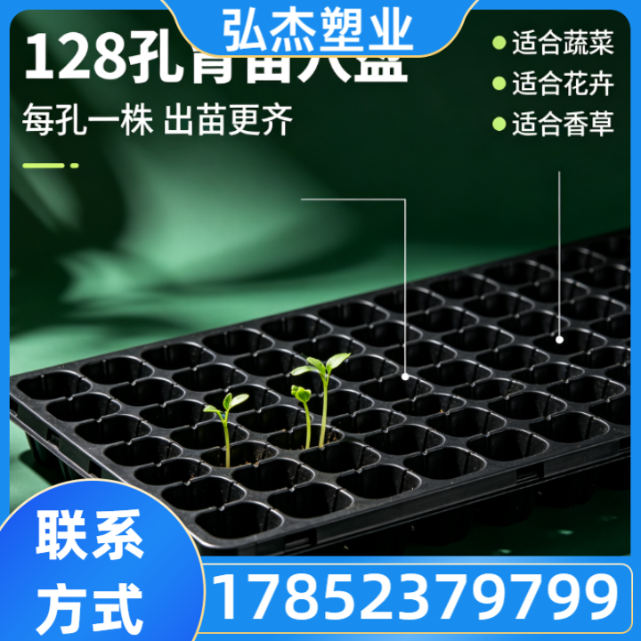 育苗穴盘