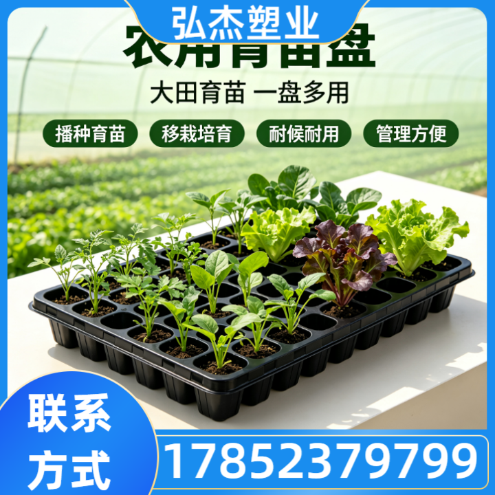 育苗盘