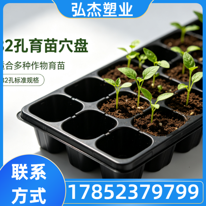 育苗盘