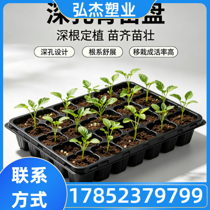 育苗盘