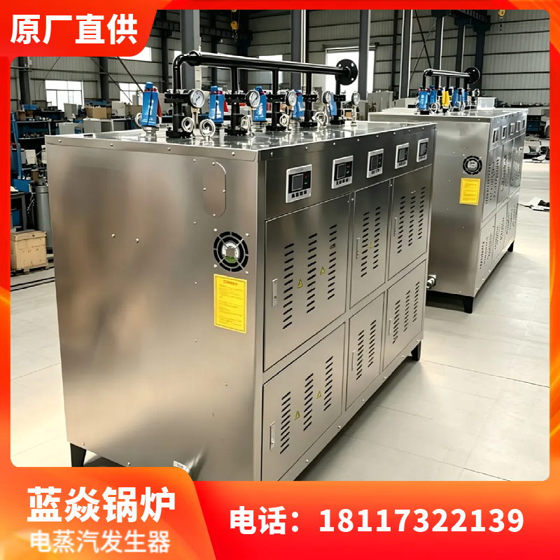 电蒸汽发生器