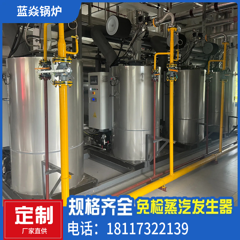 免检蒸汽发生器