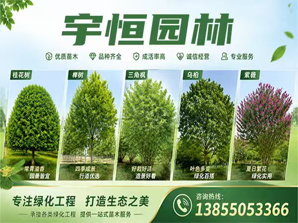 宇恒园林苗圃实景