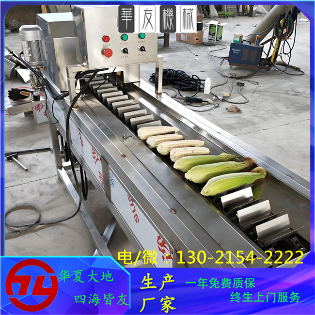 玉米加工流水线
