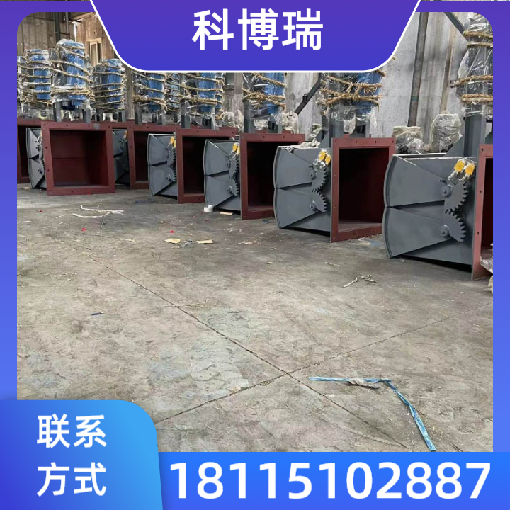 腭式闸门