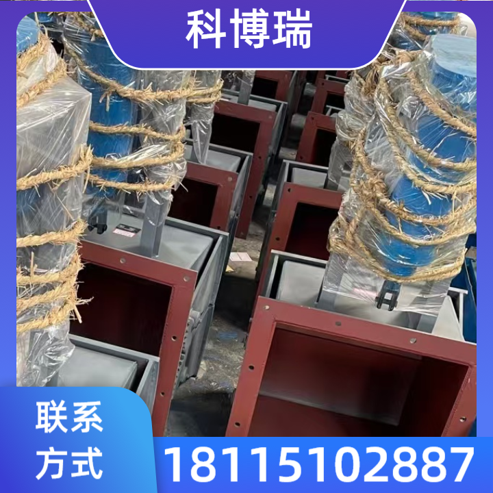 腭式闸门