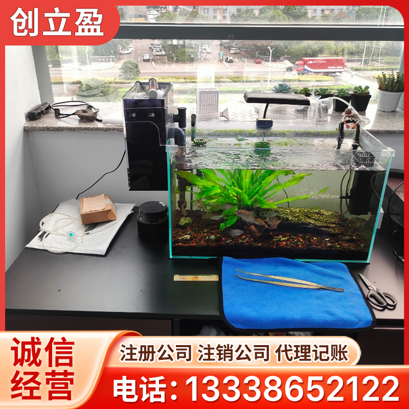代理记账服务1