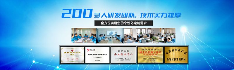 衡水安徽皖南电机 产品图1