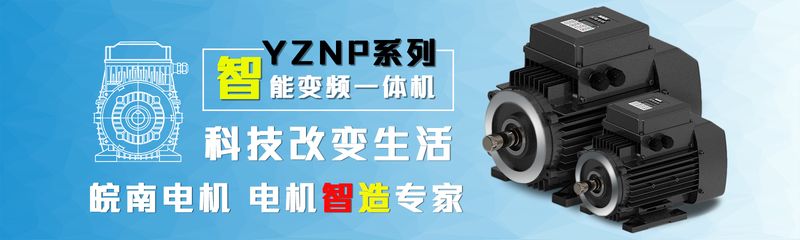 衡水安徽皖南电机 产品图2