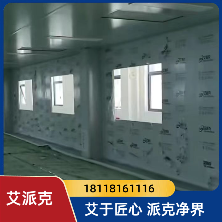 百级高洁净车间