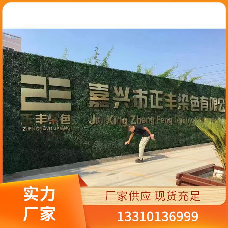 仿真绿植案例5
